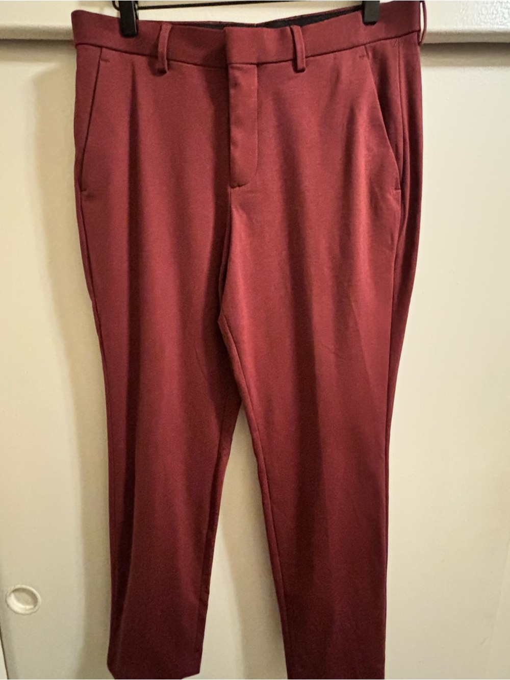 Express, Men's Burgundy Dress Pants - Slim Tailored Fit 30x30